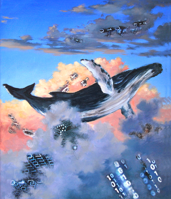Meta Cetacea Meta Cetacea